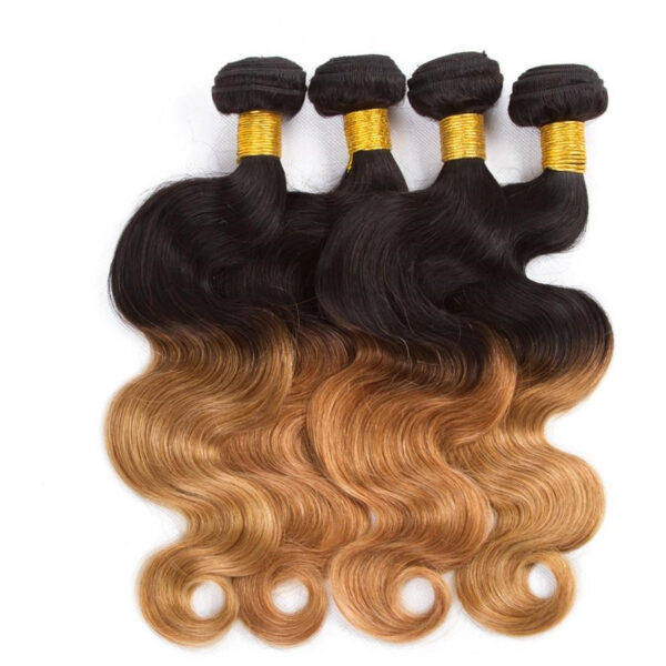 body wave bundle ombre