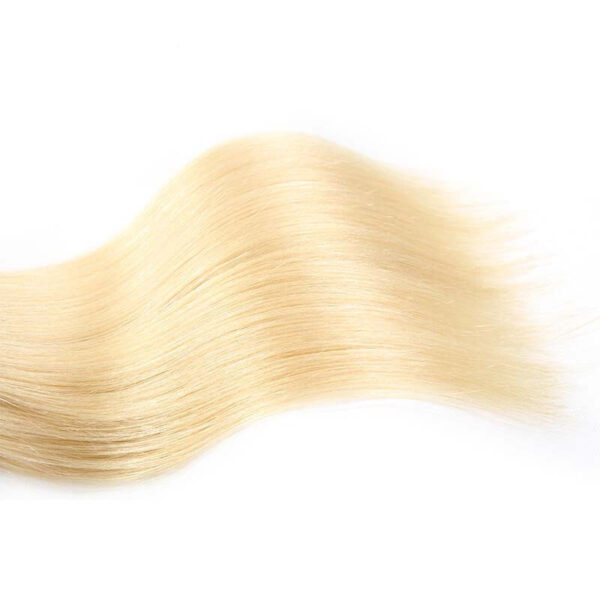 613 Hair Color Crysmode 1